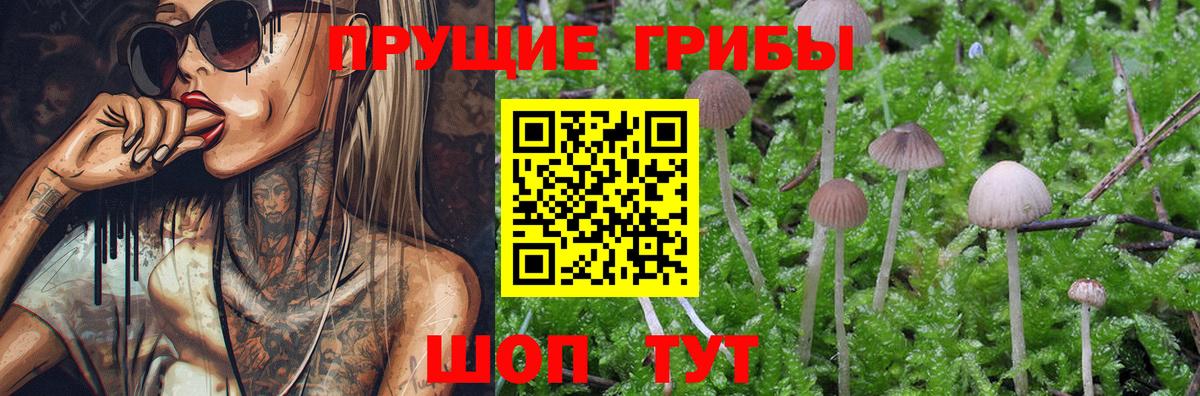 Псилоцибиновые грибы Cubensis  Галлюциногенные грибы прущие грибы  Кумертау  Вход с VPN 